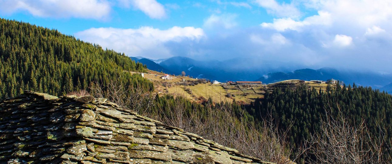 A hiking trail with Shery Tour in the Rhodopes