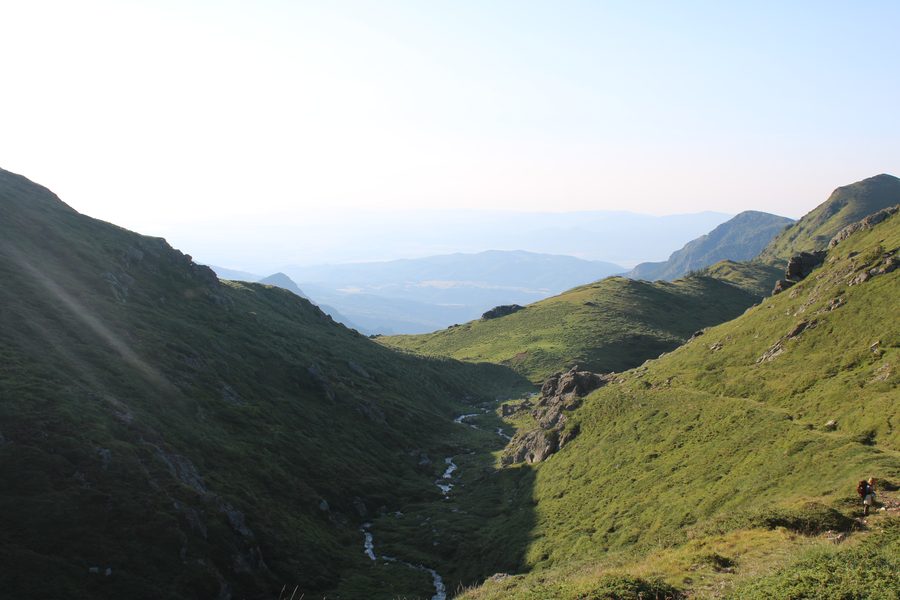In the Dzhendema reserve