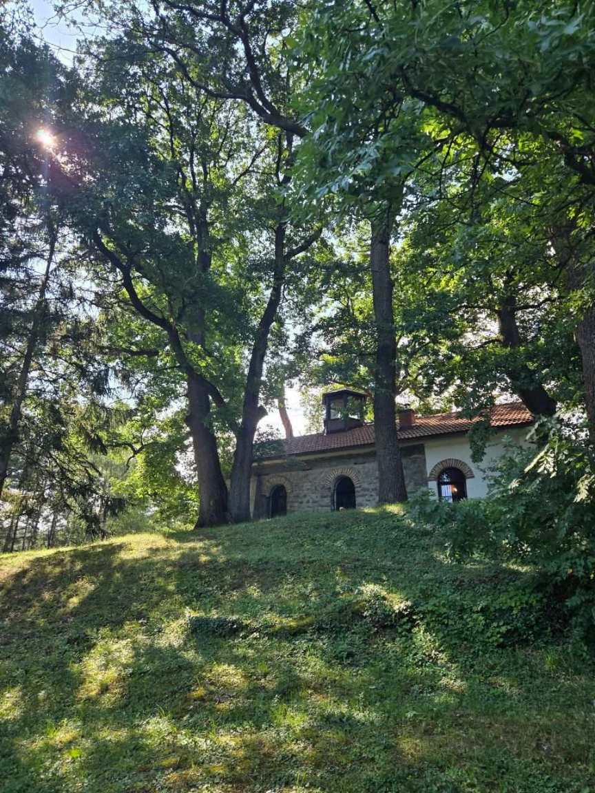 Вторият ден от „Витоша на децата“ в Бистрица