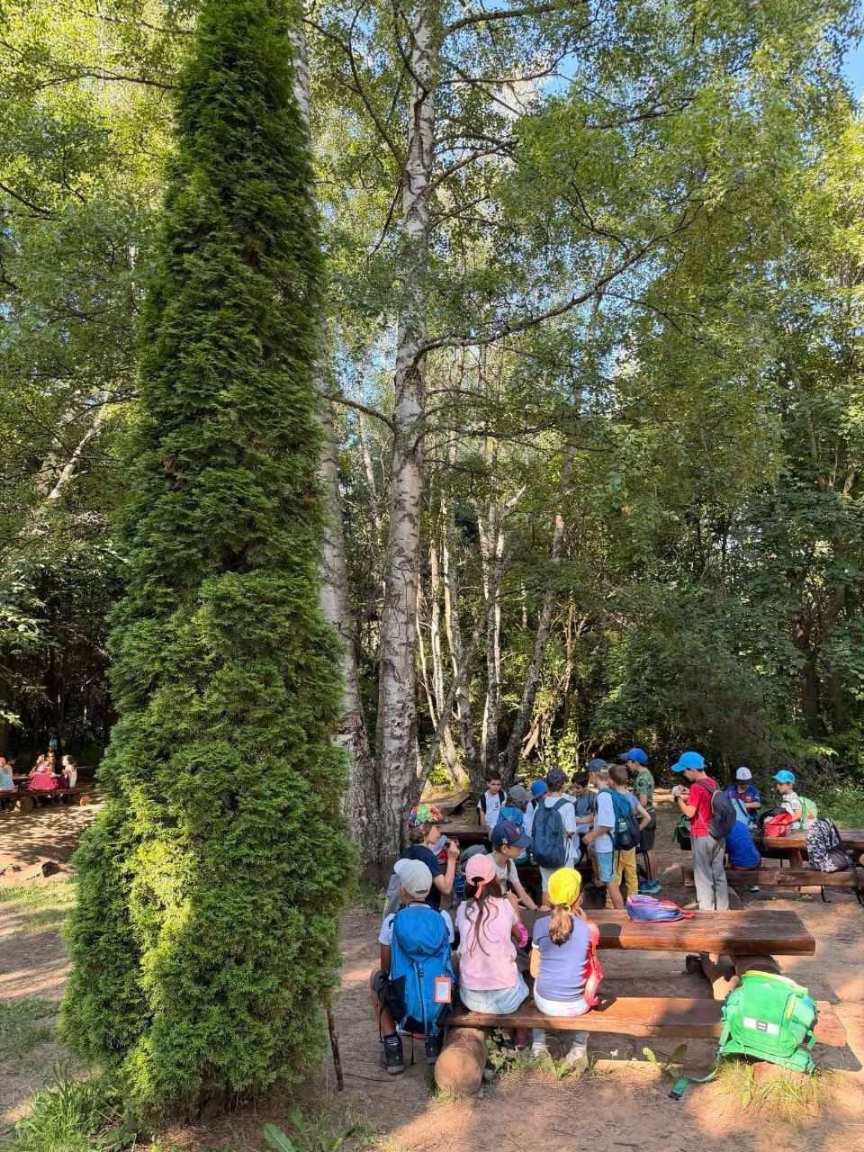 Children in the forest on Vitosha