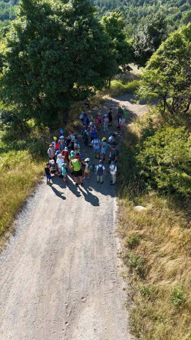 Forest skills with Vitosha for Children