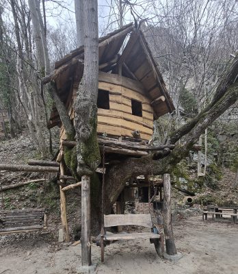 Wooden creations along the Menta trail