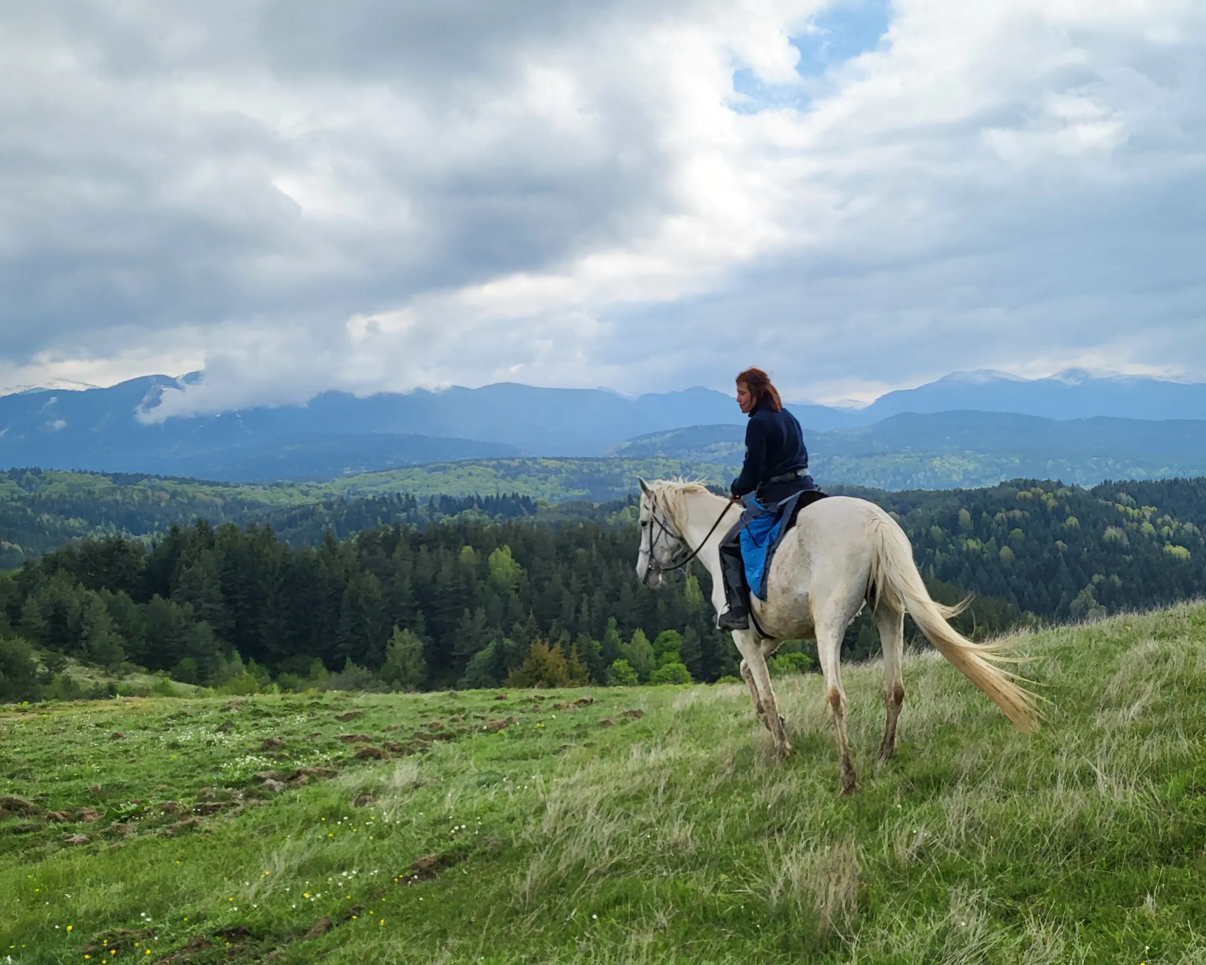 A rider on a white horse in a meadow facing Rila