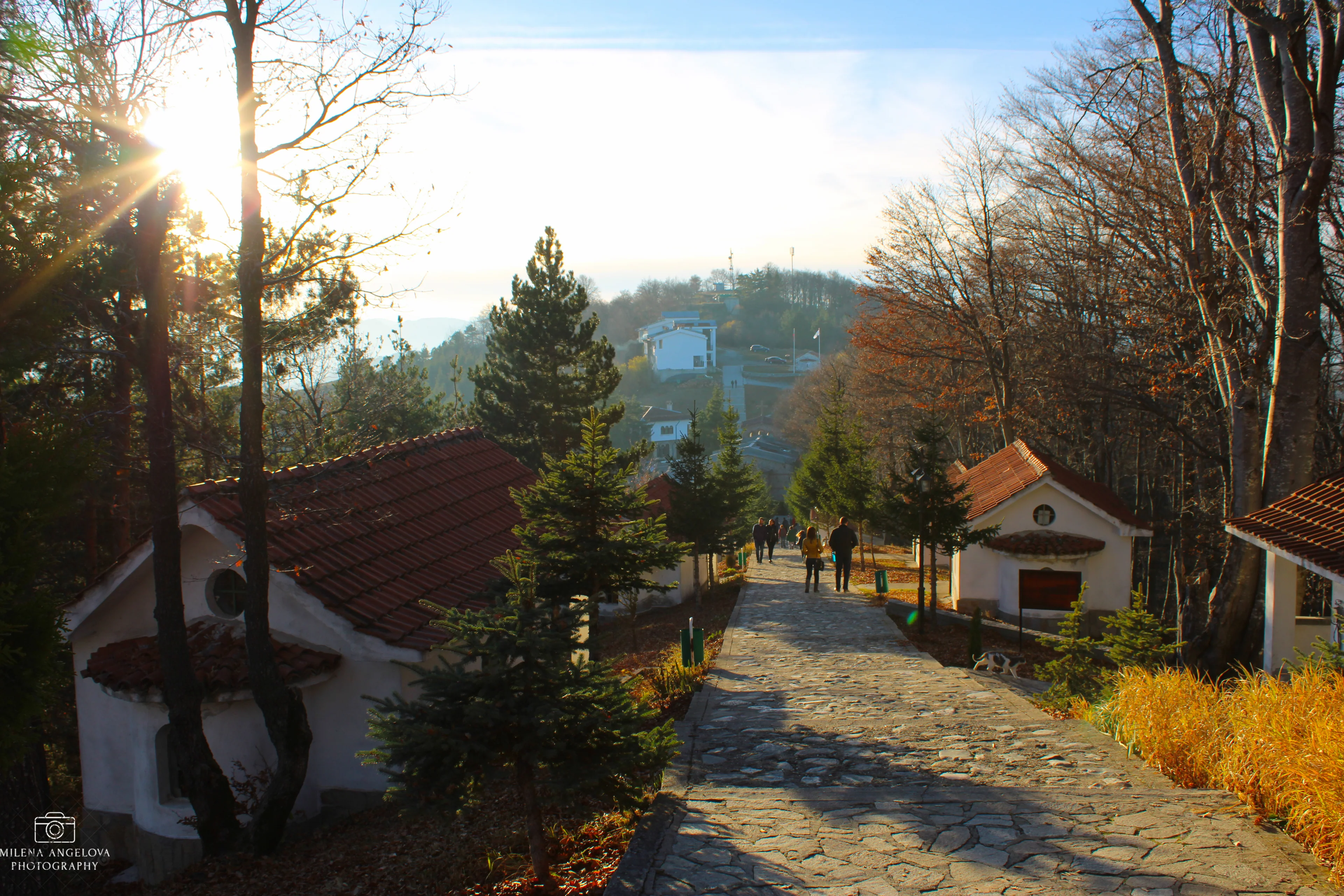 A path between Rhodope houses